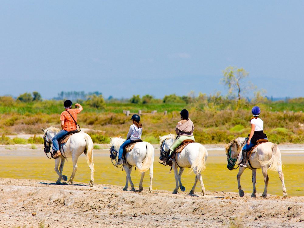 horse riding, Parc Regional de Camargue, Provence, France